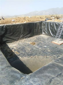 水库土工膜发货价解析 泰安儒风土工的专业之道