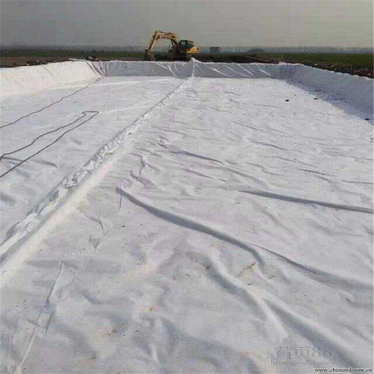 山东鱼塘0.8mm土工膜供应滨州人工湖800g复合土工膜